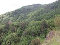 nte Rinatu-20110615 040